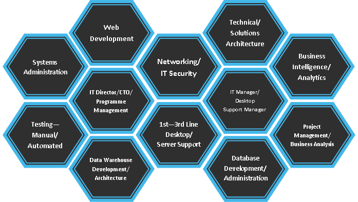 IT Specialisms